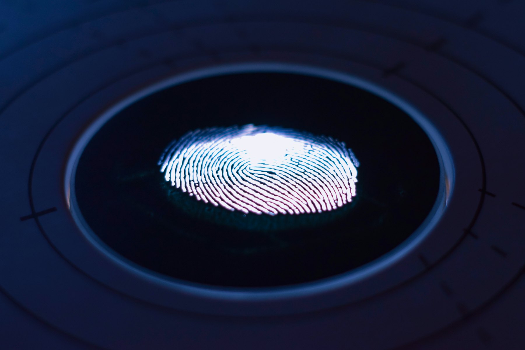 A digital fingerprint scan representing identity security